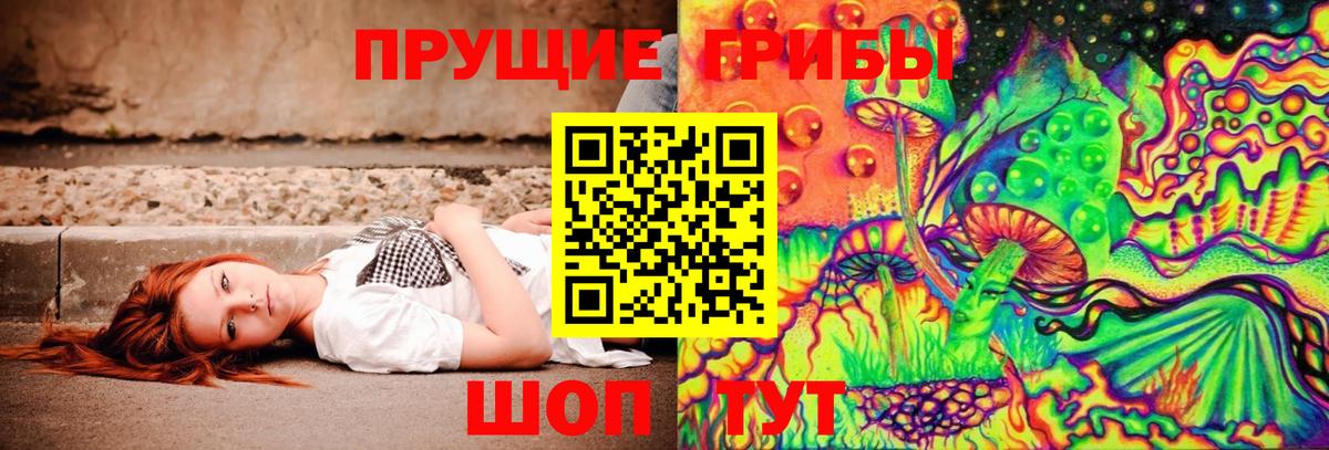 Галлюциногенные грибы MAGIC MUSHROOMS Кондопога