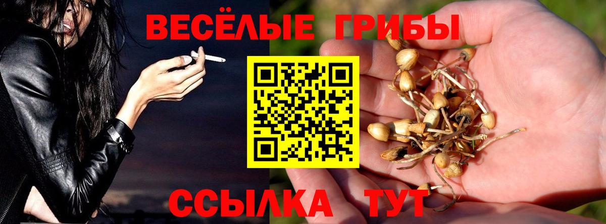 где можно купить   Вход с VPN  Кондопога  Псилоцибиновые грибы Psilocybe  Псилоцибиновые грибы Magic Shrooms 