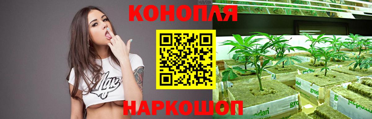 МАРИХУАНА гибрид Кондопога